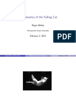 Mathematics of The Falling Cat: Rajan Mehta