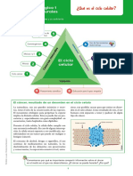 Naturales 10 Modulo 1