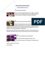 Guia de Cultivo de Rosas Do Deserto PDF