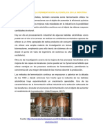 Importancia de La Fermentación Alcohólica en La Indutria y Concepto Fermentacion Acetica