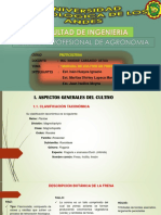 Manual Del Cultivo de Fresa