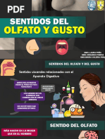 Sentidos Del Gusto y Del Olfato