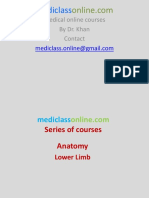 Anatomy of Lower Limb