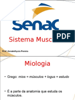 Sistema Muscular