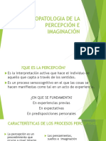 Psicopatologia de La Percepción e Imaginación