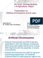 Indira Gandhi Krishi Vishwavidyalaya College of Agriculture, Raipur Presentation On-Artificial Chromosome and Its Uses