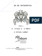 Apostilla Pelvis PDF