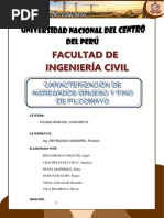 Informe de Caracterizacion de Agregado