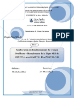 Amélioration Du Fonctionnement Du Tronçon Souffleuse - Remplisseuse de La Ligne 4LB de CEVITAL Avec SIMA 0