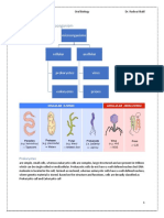 Microbes and Oral Diseases