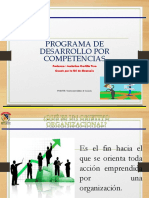 Programa de Desarrollo Por Competencias