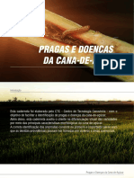 Caderneta de Pragas e Doenças Da Cana de Açúcar CTC PDF