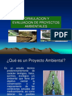 Formulacion y Evaluacion de Proyectos Ambientales