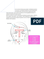 Protocolo-Limpeza de Pele Com Tratamento de Acne