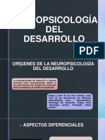 Neuropsicología Del Desarrollo