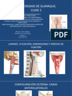 Anatomia 2... Clase 2.. Laringe y Traquea