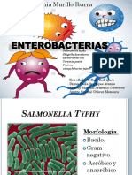 Enterobacterias