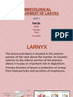 Embryological Development of Larnyx