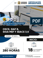 Temario Diploma Osce Siaf Siga Seace-3 PDF