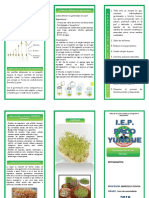 Triptico Germinacion 2019