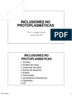 Inclusiones No Protoplasmáticas