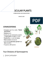 Angiosperms and Gynosperms