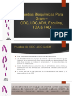 Pruebas Bioquímicas para Gram