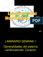 Laminario Final IV (1) (Reparado)