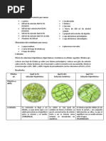 Informe 4 de Biologia