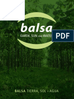 Balsa