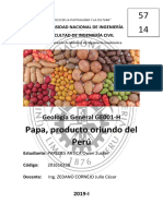 Papa, Producto Oriundo Del Peru