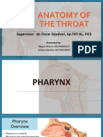 Throat Anatomy