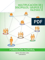 Multiplicación de Discípulos, Grupos e Iglesias I COLOR PDF