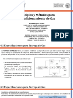 Principios y Métodos para Acondicionamiento de Gas MCP LDGC