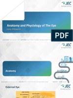 Anatomy and Physiology of The Eye