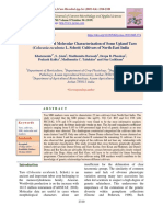 SSR Marker-Based Molecular Characterization of Some Upland Taro