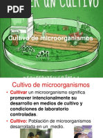 Clase 11 Cultivo de Microorganismos PDF