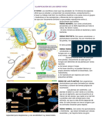 Clasificación de Los Seres Vivos