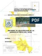 Informe Del Gera