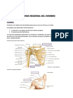 Anatomia Regional Del Hombro 