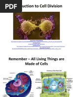 Cell Division Mitosis Meiosis