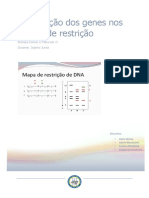 Localização Dos Genes Nos Mapas de Restrição