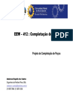 Completacao de Pocos de PeG PDF