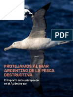 Protejamos Al Mar Argentino de La Pesca Destructiva - Greenpeace