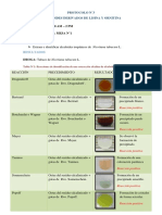 Protocolo 3