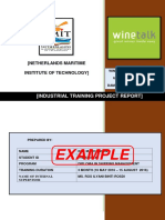 Example: (Industrial Training Project Report)