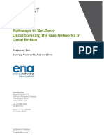 Navigant Pathways To Net-Zero PDF