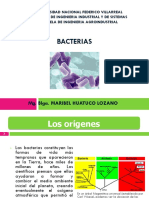 Bacterias Caracteristicas