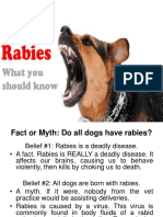 Rabies