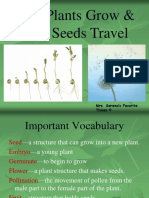 How Plants Grow and How Seeds Travel